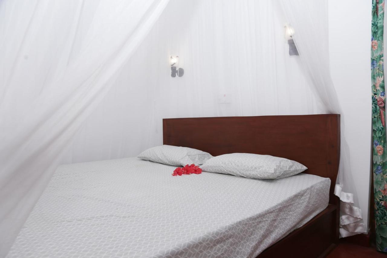 Vivid Lanka Bed & Breakfast Bentota Dış mekan fotoğraf