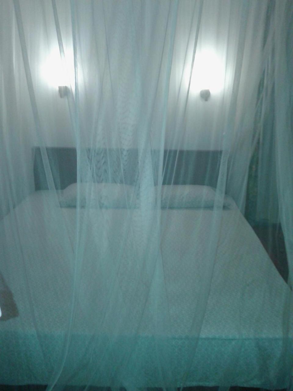 Vivid Lanka Bed & Breakfast Bentota Dış mekan fotoğraf