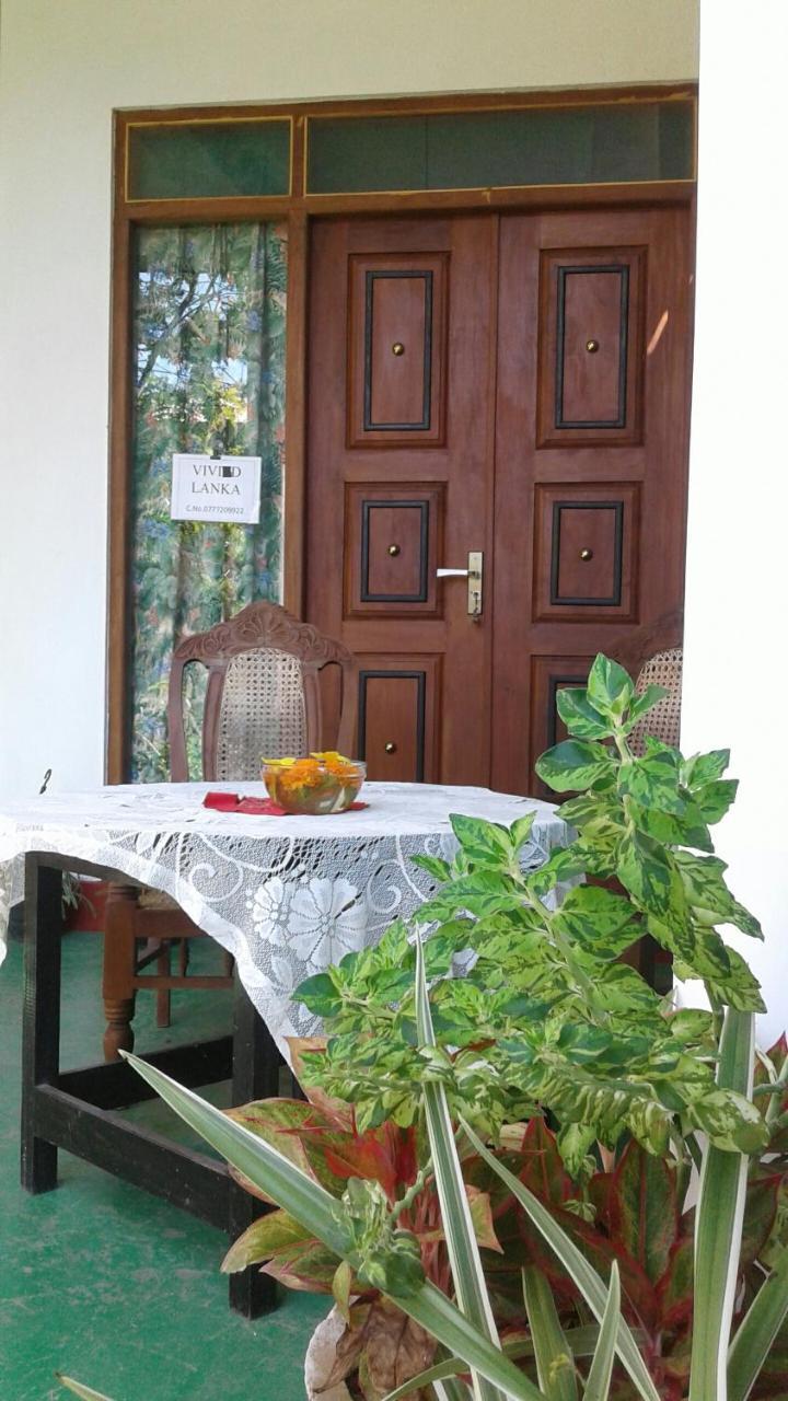 Vivid Lanka Bed & Breakfast Bentota Dış mekan fotoğraf