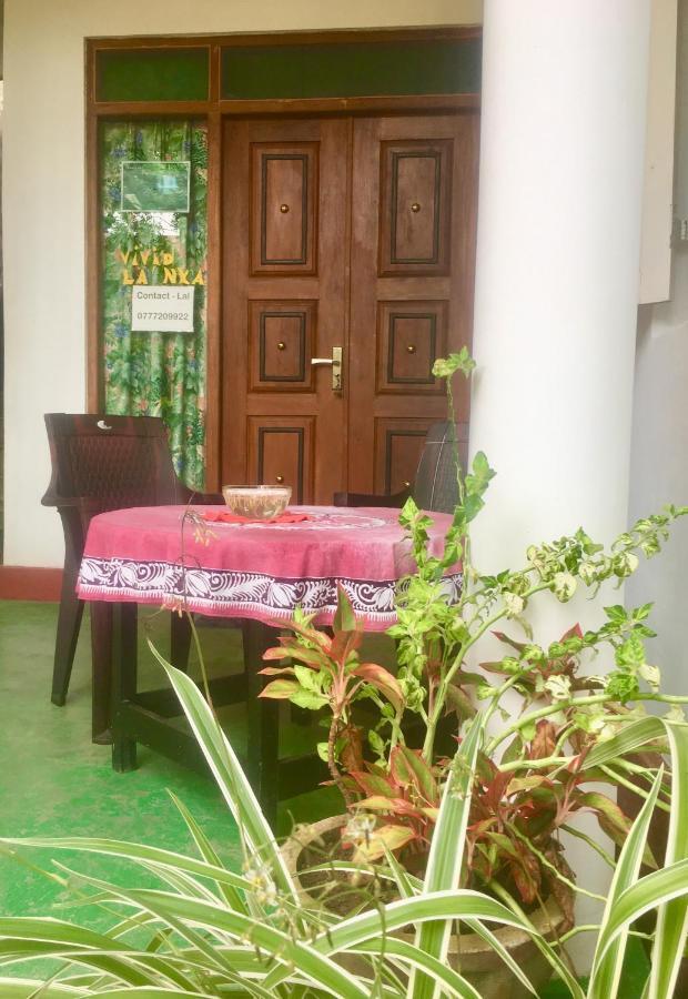 Vivid Lanka Bed & Breakfast Bentota Dış mekan fotoğraf